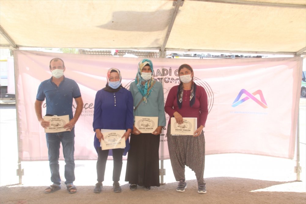 Gülnar'da Küçükbaş Hayvan Yetiştiricilerine Destek