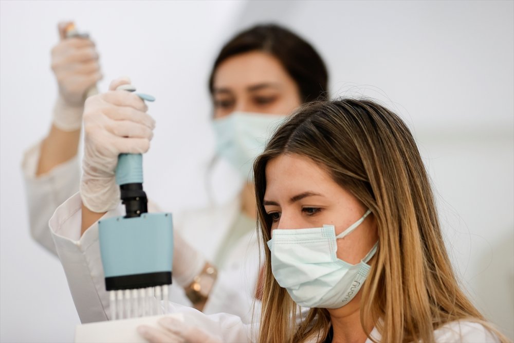 Domates Üretimini Olumsuz Etkileyen Virüse Karşı Dayanıklı Yerli Tohum Geliştirildi