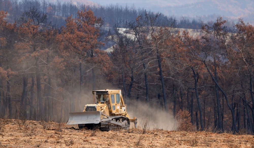 Antalya'da Yanan Ormanlar 100 Milyon Fidanla Yeniden Yeşerecek
