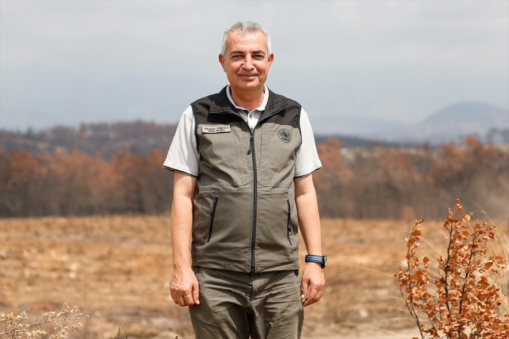 Antalya'da Yanan Ormanlar 100 Milyon Fidanla Yeniden Yeşerecek