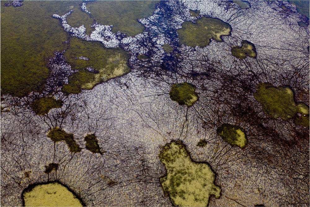 Konya'daki Suğla Gölü, Mevsimsel Kuraklık Nedeniyle Zor Günler Yaşıyor