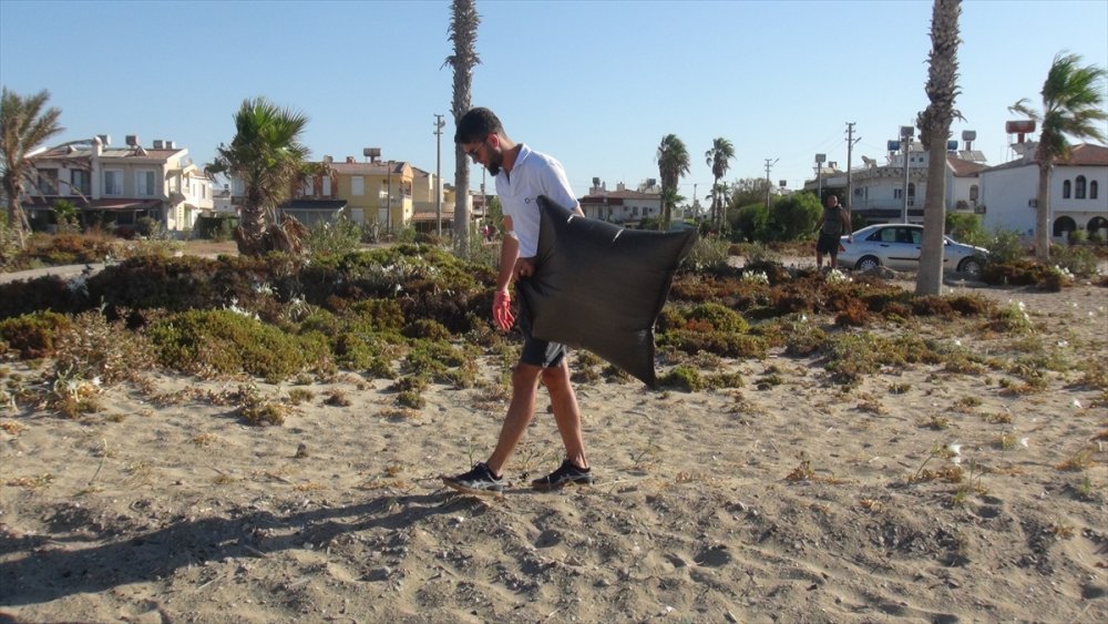 Mersin'de Deniz Kaplumbağalarının Yaşam Alanları Temizlendi