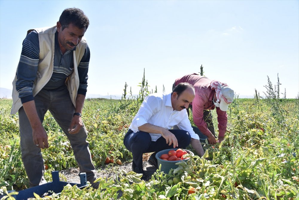 Ereğli'ye Bu Yıl 53 Milyon Liralık Yatırım Yapılacak
