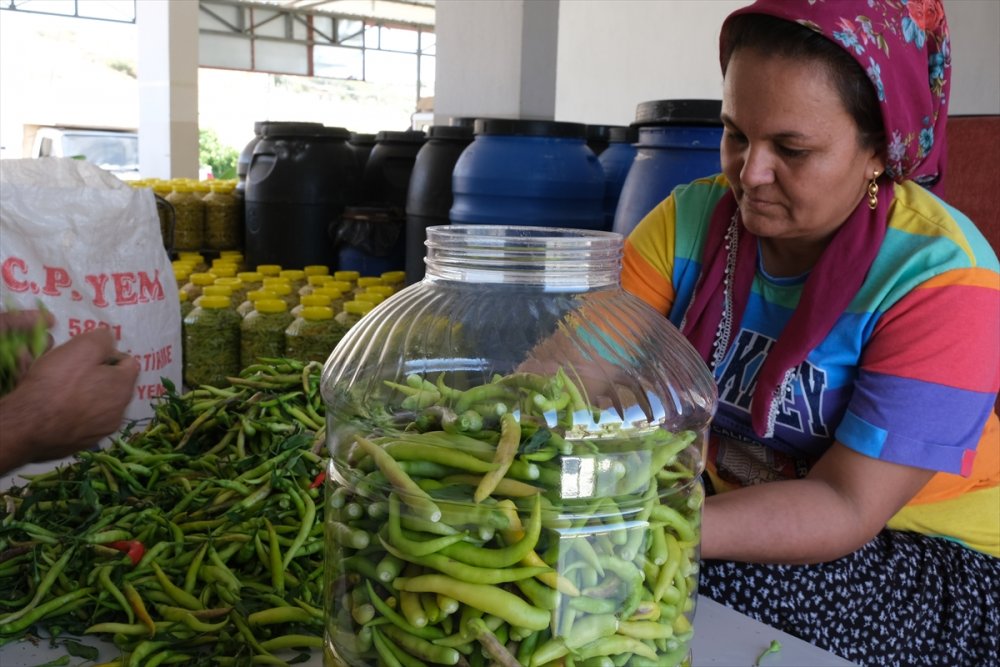 Mut'ta Yetiştirilen Biberden Elde Edilen Turşuya İlgi Artıyor