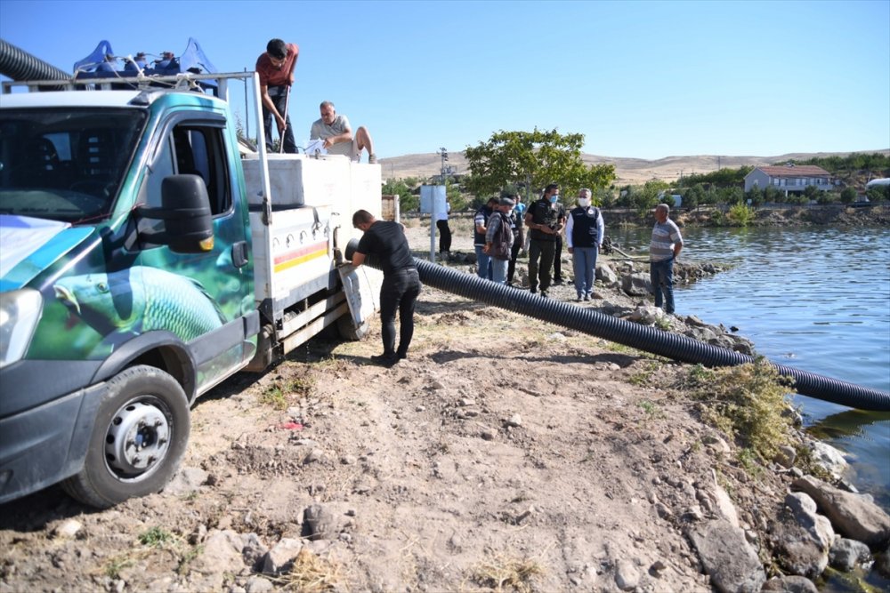 Kayseri'de 13 Göl Ve Gölete 678 Bin Yavru Balık Salındı