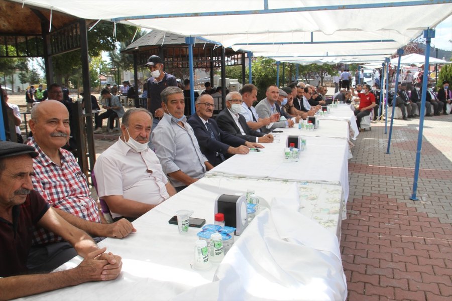 7. Akçabelen Şeker Fasulyesi Festivali