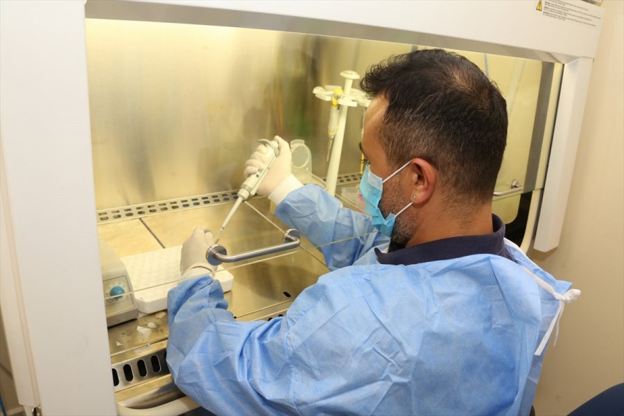 Akdeniz Üniversitesi Kovid-19 Laboratuvar Sorumlusu Prof. Dr. Derya Mutlu'dan Aşı Açıklaması: