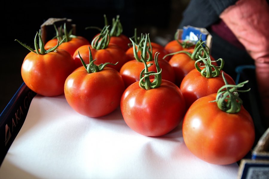 Seralarda Yetişen Domates Ve Biber 45 Ülkede Sofralara Taşınıyor