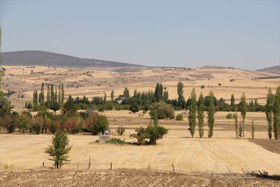 Yalıhüyük'te Kuraklığa Bağlı Verim Kaybı Desteklemesi Çalışmaları Başladı
