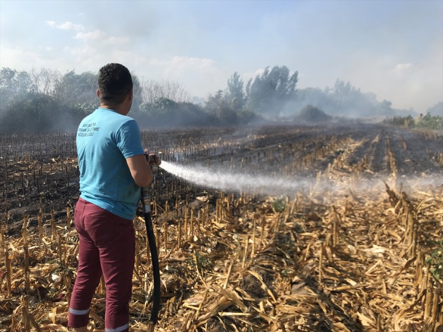 Antalya'da Sazlık Alana Sıçrayan Anız Yangınına Müdahale Ediliyor