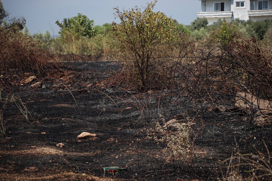 Mersin'de Çalılık Alanda Başlayıp Zeytin Bahçesine Sıçrayan Yangın Söndürüldü