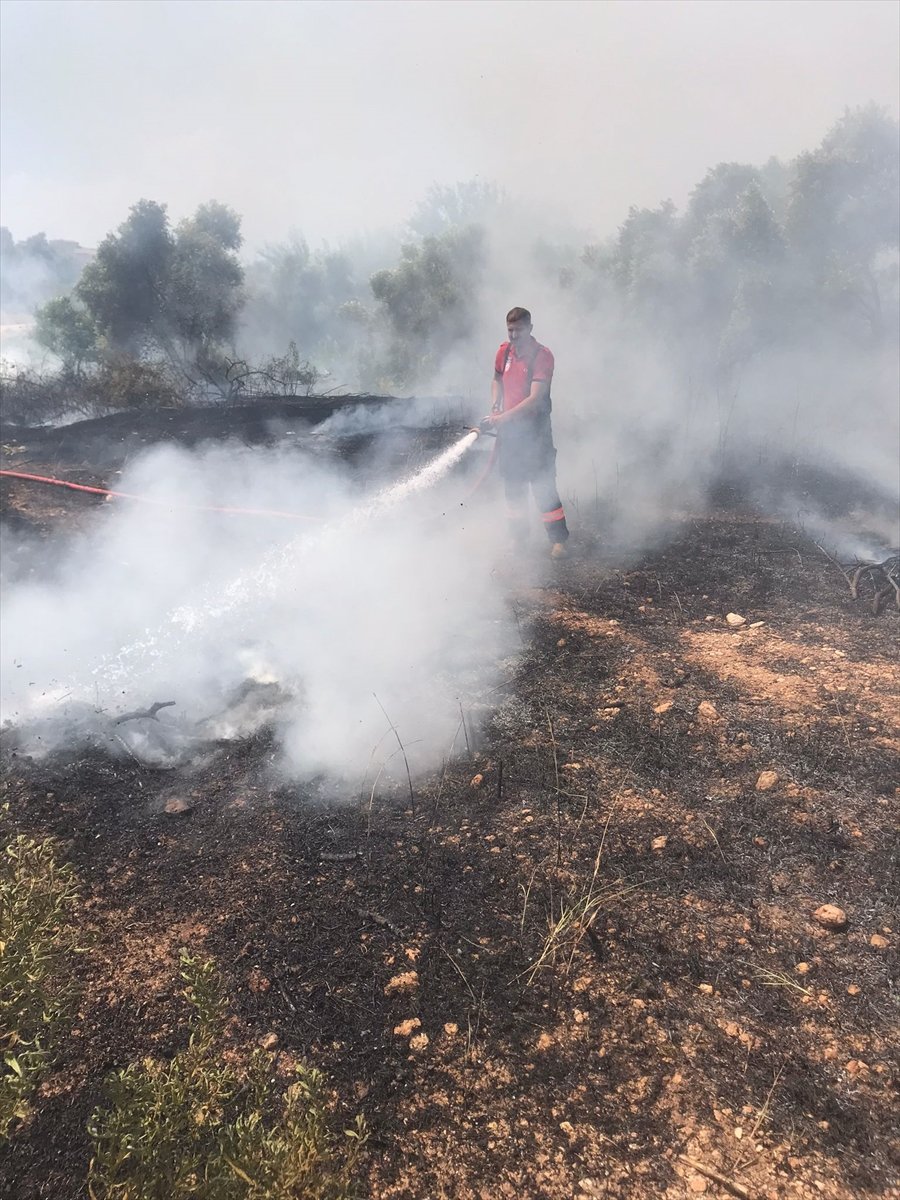 Mersin'de Çalılık Alanda Başlayıp Zeytin Bahçesine Sıçrayan Yangın Söndürüldü