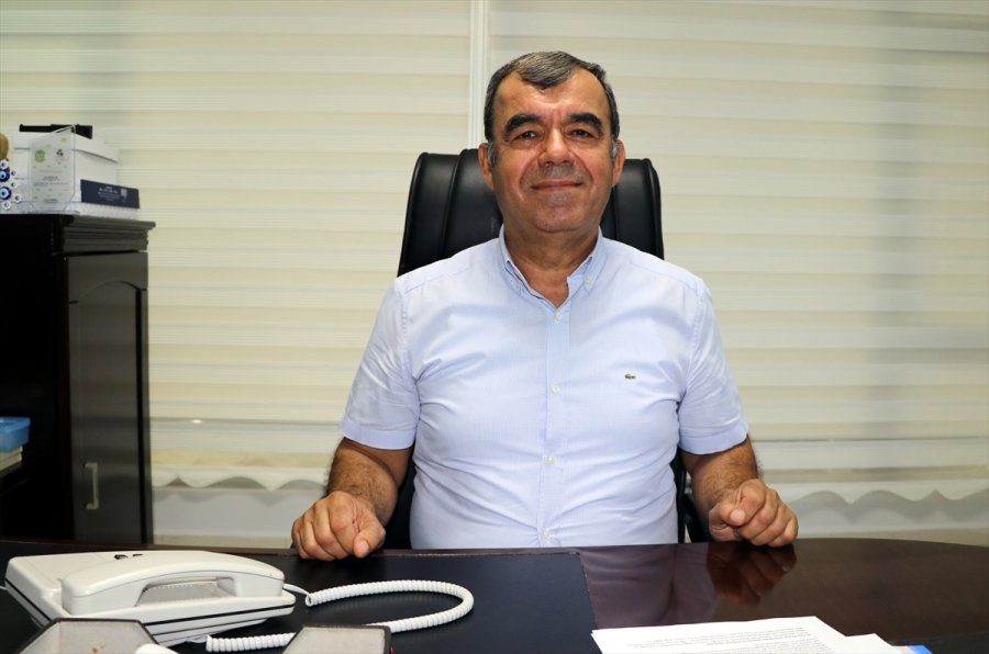 Mersin Ve Hatay 8 Ayda Yaş Meyve Sebze İhracatına Yüzde 35 Katkı Sundu