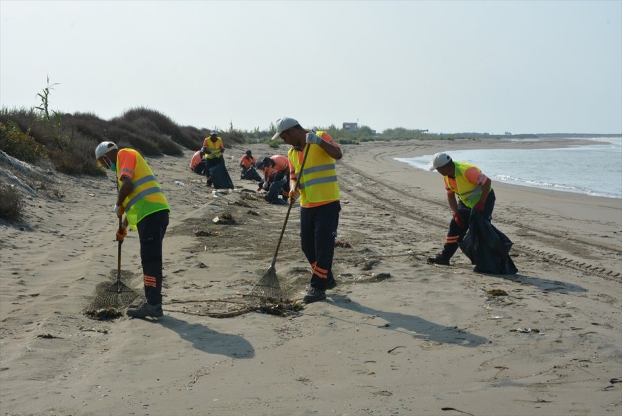 Mersin'de, Suriye Kaynaklı Petrol Sızıntısına İlişkin Temizlik Çalışması Başlatıldı