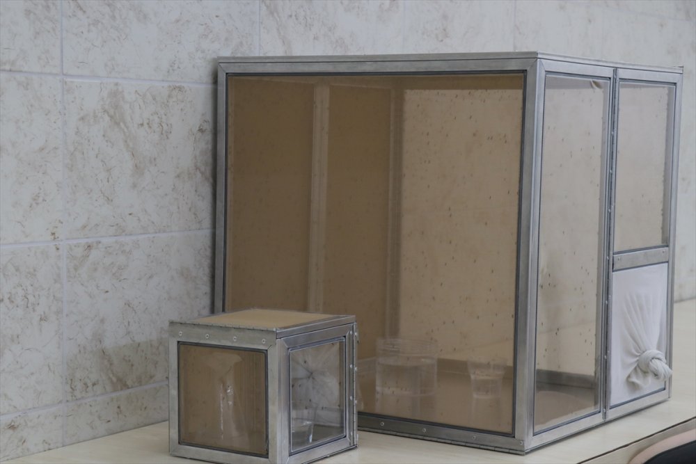 Asya Kaplan Sivrisineği Ve Diğer Riskli Türlerin Karadeniz'deki Varlığı Tespit Edilecek