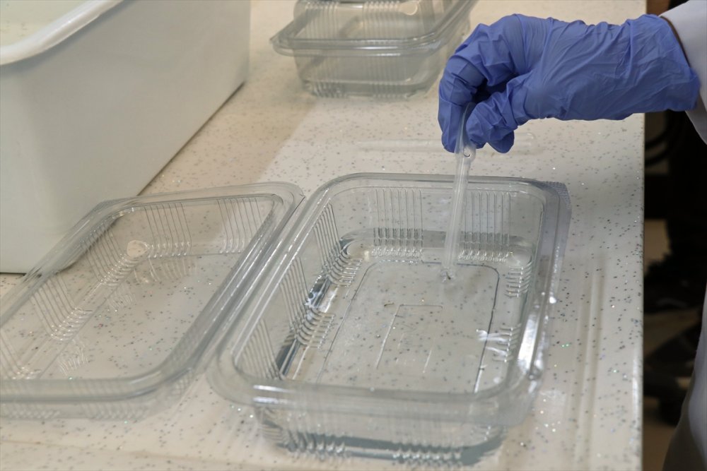 Asya Kaplan Sivrisineği Ve Diğer Riskli Türlerin Karadeniz'deki Varlığı Tespit Edilecek