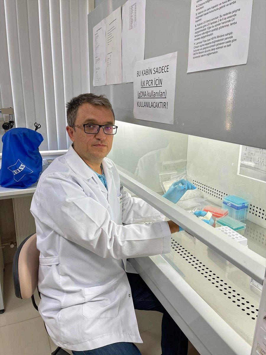 Asya Kaplan Sivrisineği Ve Diğer Riskli Türlerin Karadeniz'deki Varlığı Tespit Edilecek