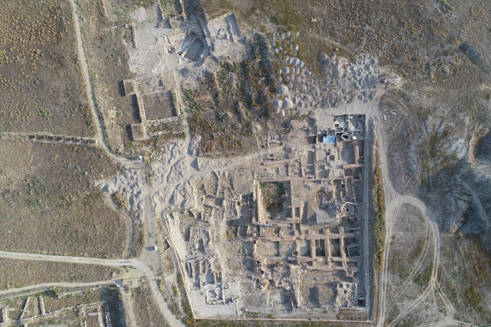 Kültepe'de 4 Bin Yıl Öncesine Ait Aslan Çene Kemiği Bulundu