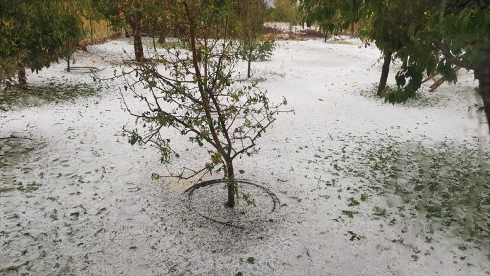 Mersin'de Yağan Dolu, Ekili Alanlara  Zarar Verdi