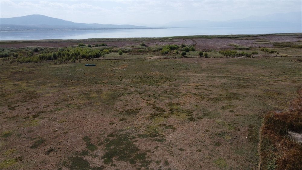 Beyşehir Gölü Kenarındaki Sulak Alan Kurudu, Yüzlerce Balık Telef Oldu