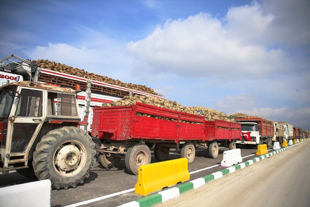 Kazım Taşkent Eskişehir Şeker Fabrikası'nda Pancar Alımı Başladı