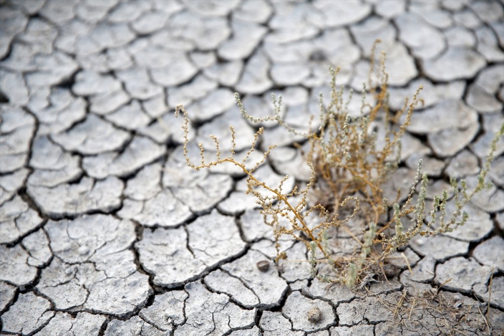 Yay Gölü'nde Eylülde de Kuraklık Hakim
