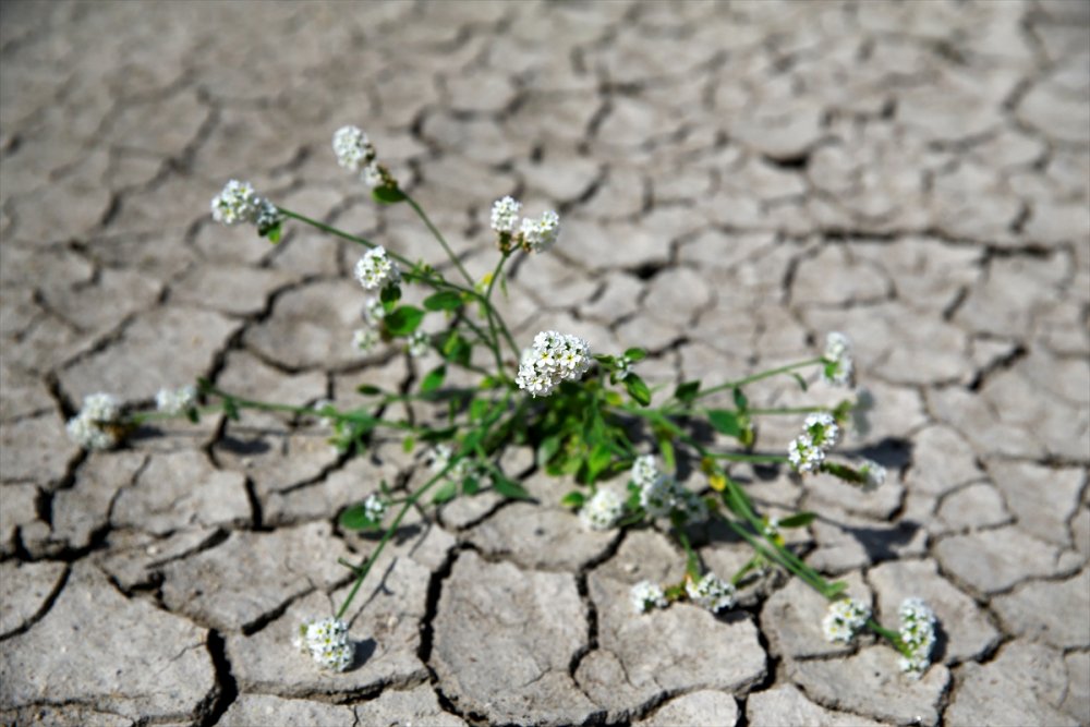 Yay Gölü'nde Eylülde de Kuraklık Hakim