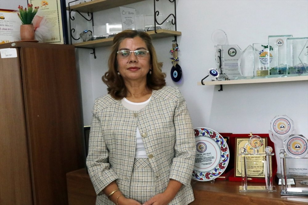 Arı Ürünlerinin Kemoterapinin Yan Etkilerini Azalttığı Bilimsel Olarak Kanıtlandı