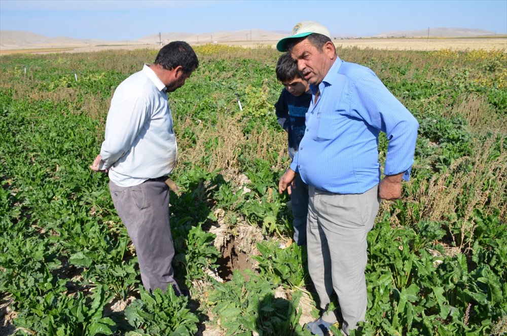 Konya Ovasındaki Tehlike Karaman'a Ulaştı