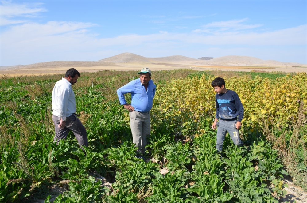 Konya Ovasındaki Tehlike Karaman'a Ulaştı