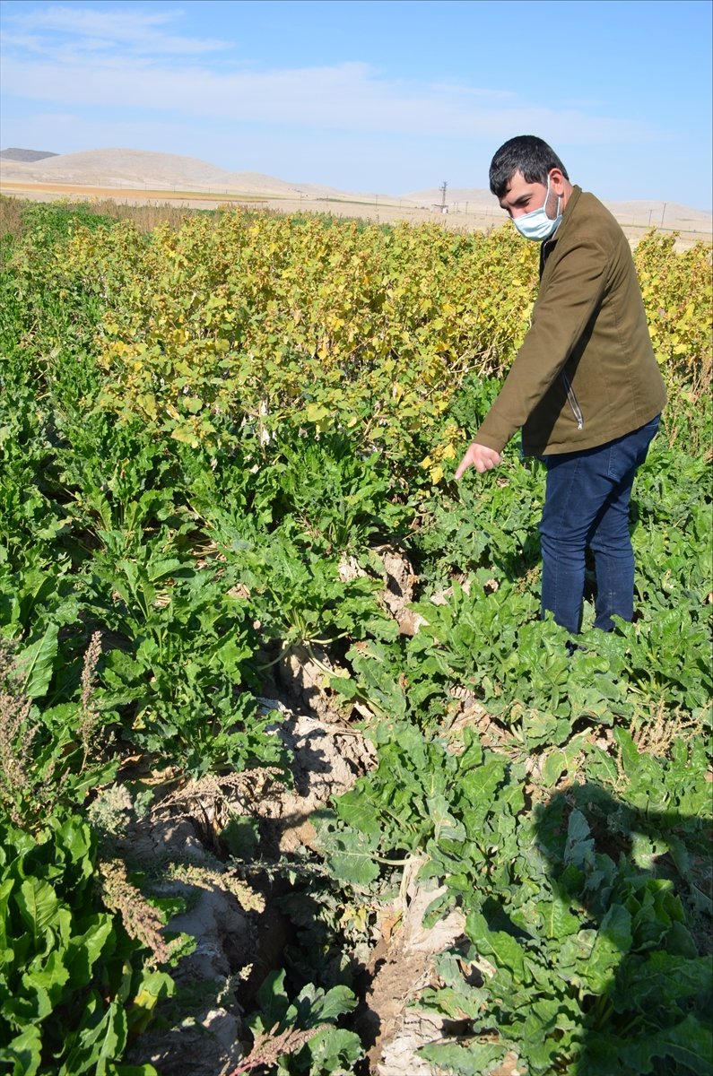 Konya Ovasındaki Tehlike Karaman'a Ulaştı