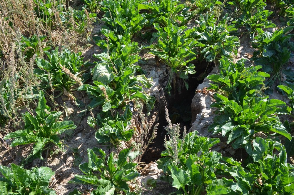 Konya Ovasındaki Tehlike Karaman'a Ulaştı
