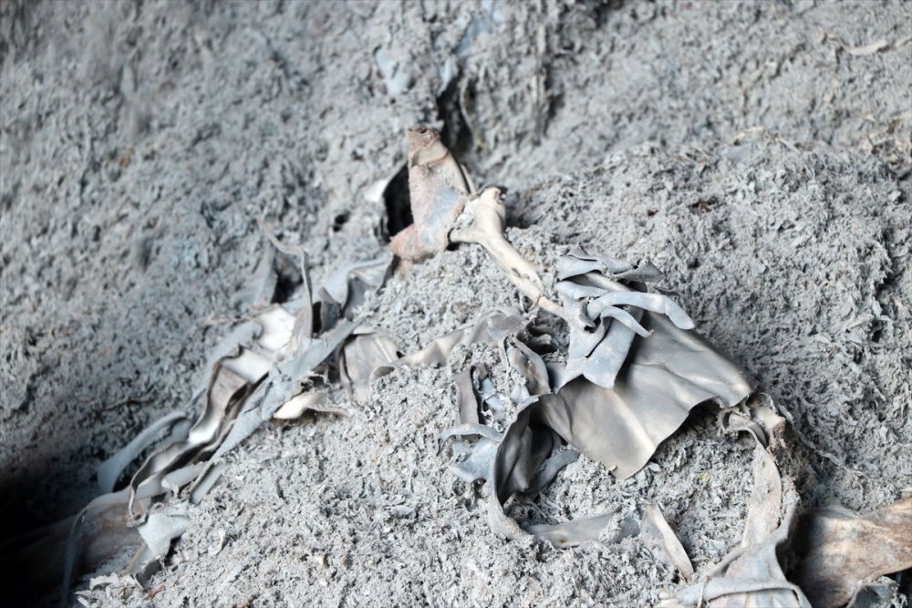 Niğde'de Deri Atığından Gübreye Üretiliyor