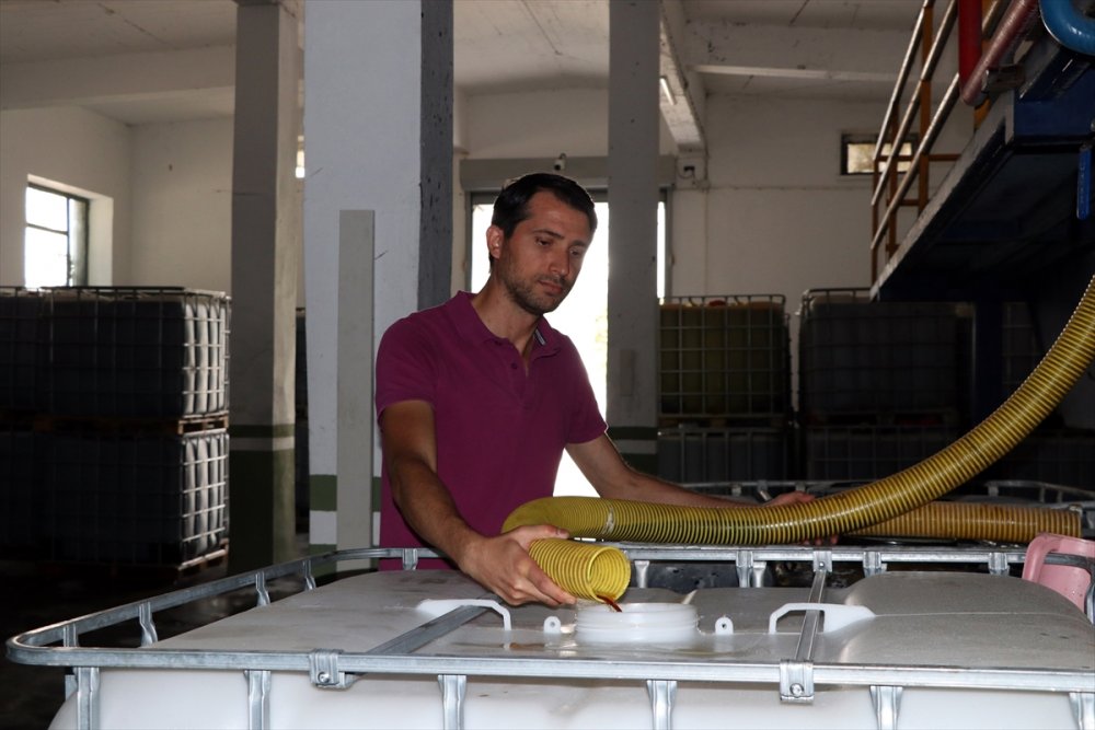 Niğde'de Deri Atığından Gübreye Üretiliyor