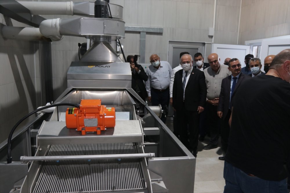 Karaman'da TKDK Desteğiyle Kurulan Zeytinyağı Tesisi Açıldı