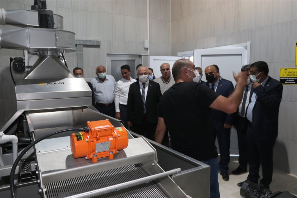 Karaman'da TKDK Desteğiyle Kurulan Zeytinyağı Tesisi Açıldı