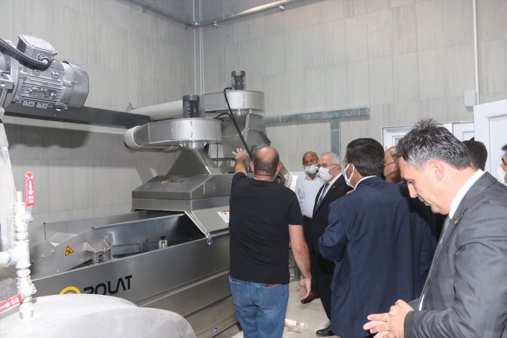 Karaman'da TKDK Desteğiyle Kurulan Zeytinyağı Tesisi Açıldı