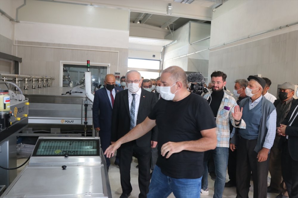 Karaman'da TKDK Desteğiyle Kurulan Zeytinyağı Tesisi Açıldı