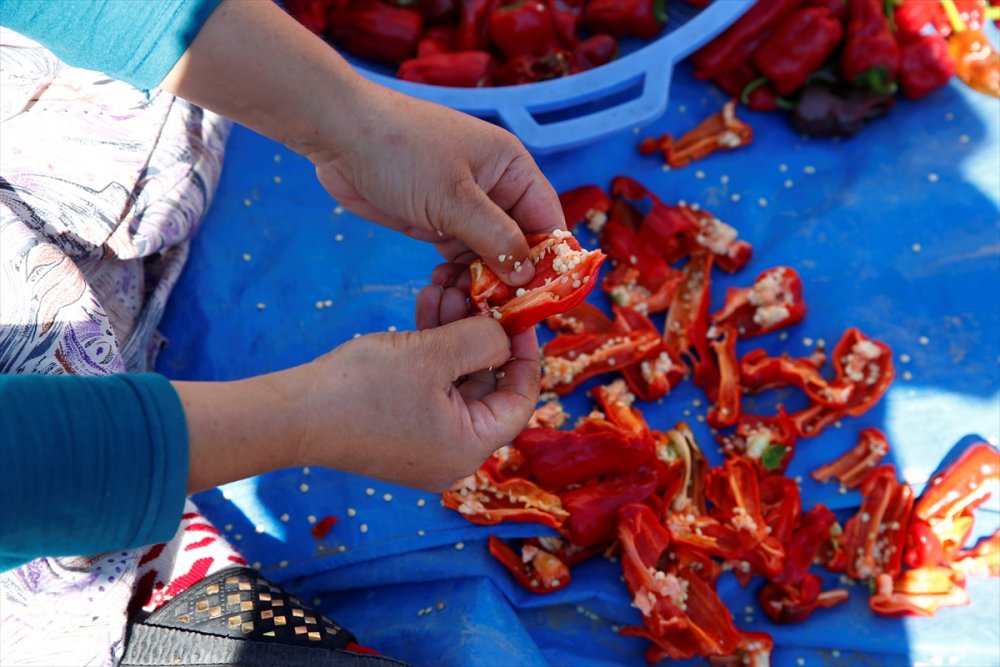 Kayseri'de Kadınların Cırgalan Biberi Kurutma Telaşı