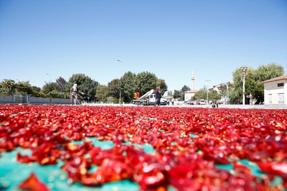 Kayseri'de Kadınların Cırgalan Biberi Kurutma Telaşı