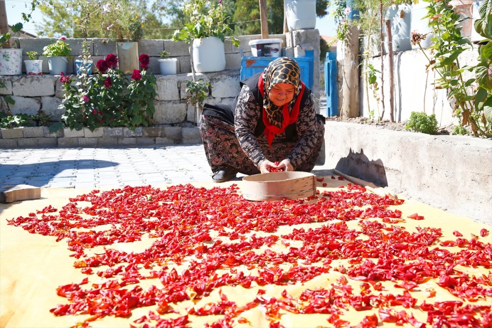 Kayseri'de Kadınların Cırgalan Biberi Kurutma Telaşı