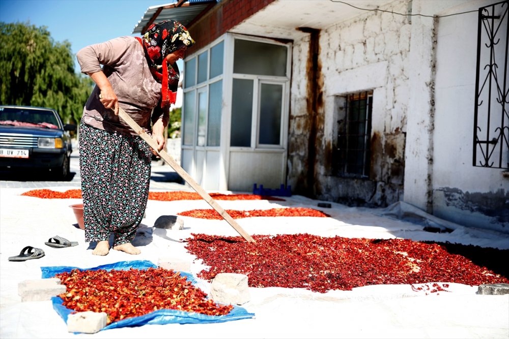 Kayseri'de Kadınların Cırgalan Biberi Kurutma Telaşı