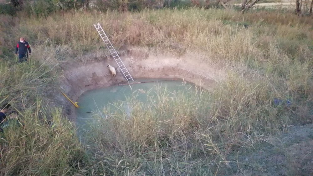 Ereğili'de Sulama Havuzunda Bir Çocuk Boğuldu