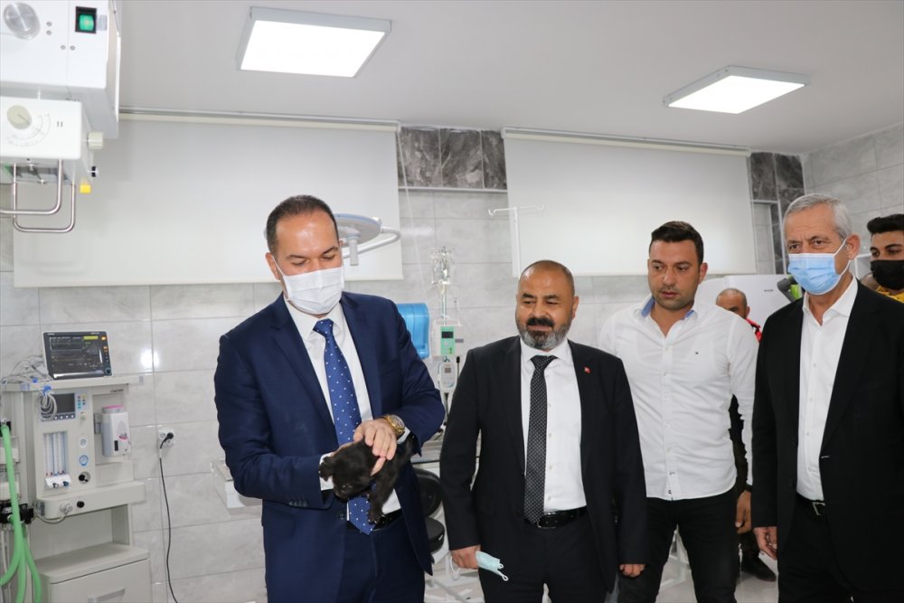 Niğde'de Sokak Hayvanları İçin Ameliyathane