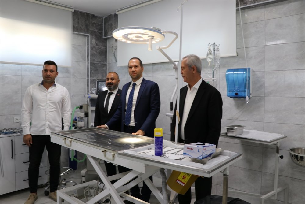 Niğde'de Sokak Hayvanları İçin Ameliyathane