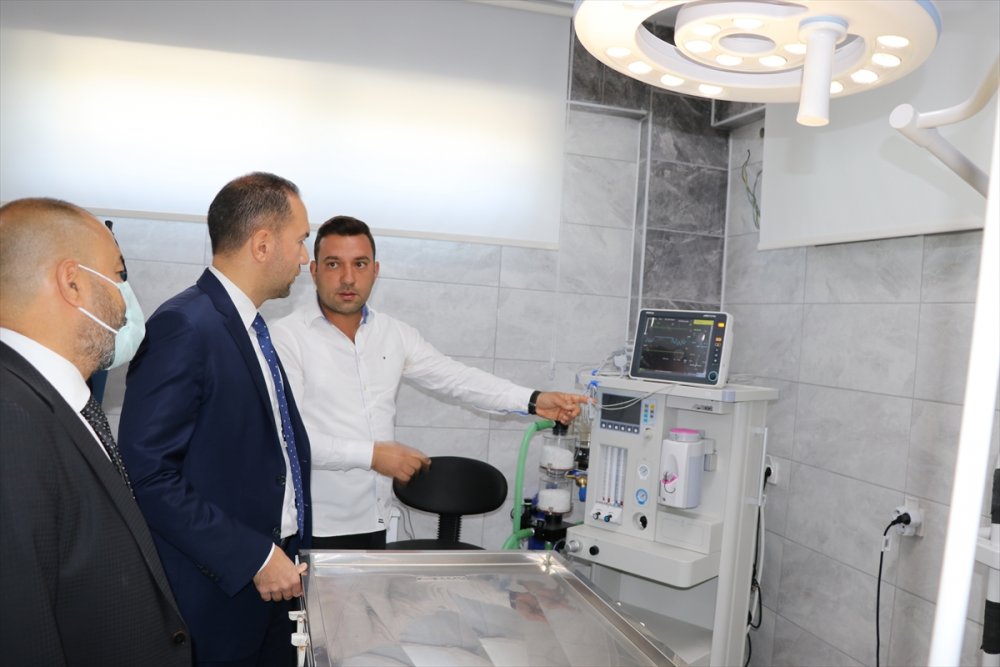 Niğde'de Sokak Hayvanları İçin Ameliyathane