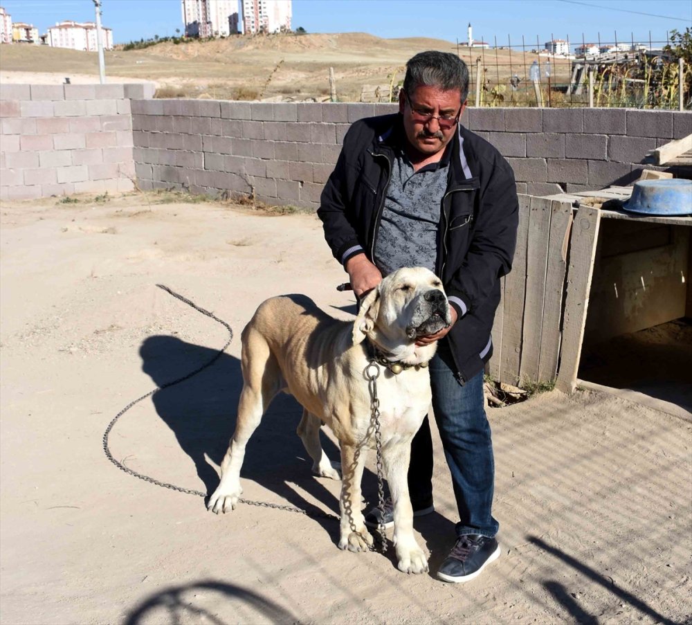 Aksaray Malaklısı Hırsızlığı Kameralarda