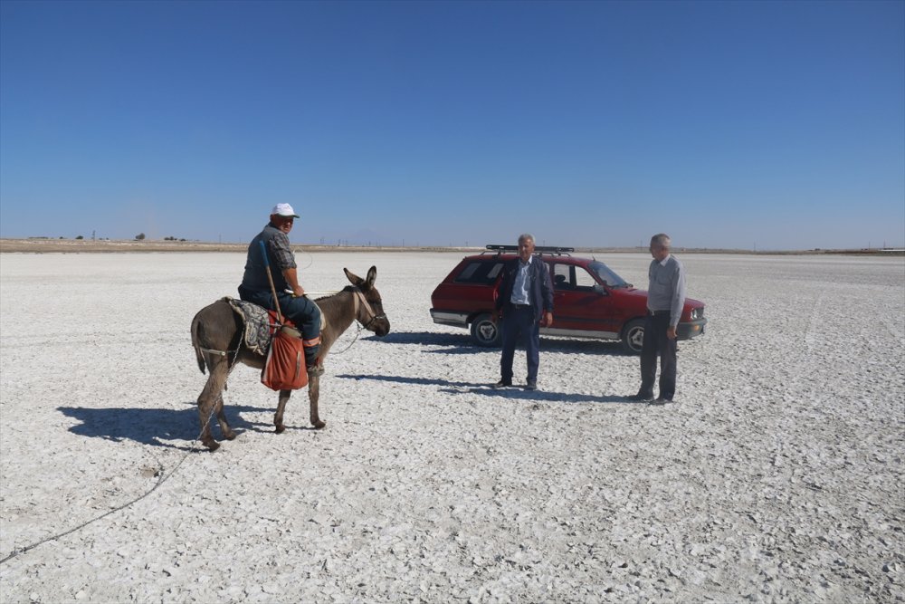 Aksaray'da Flamingoların Uğrak Noktası Akgöl Kurudu