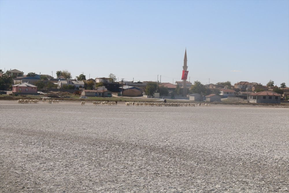 Aksaray'da Flamingoların Uğrak Noktası Akgöl Kurudu