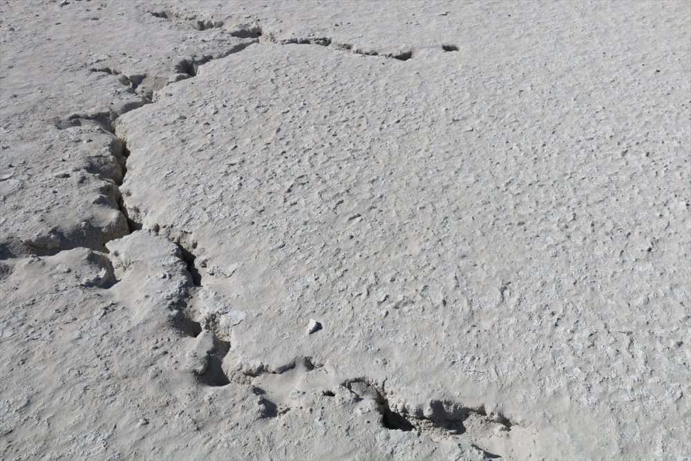 Aksaray'da Flamingoların Uğrak Noktası Akgöl Kurudu